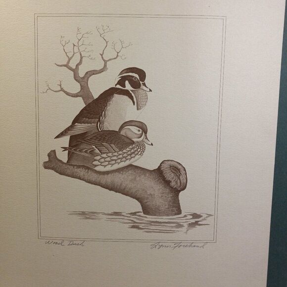 Vintage American Waterfowl Etching/Print Lynn Forehand 5 of 5 Cottagecor… - Picture 1 of 7